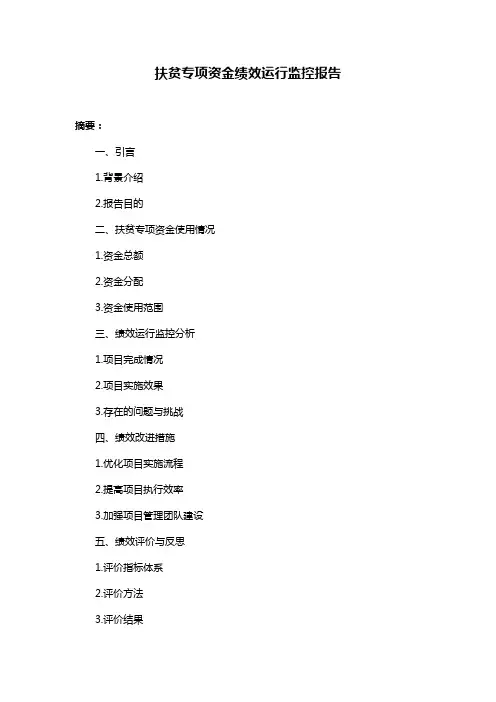 扶贫专项资金绩效运行监控报告