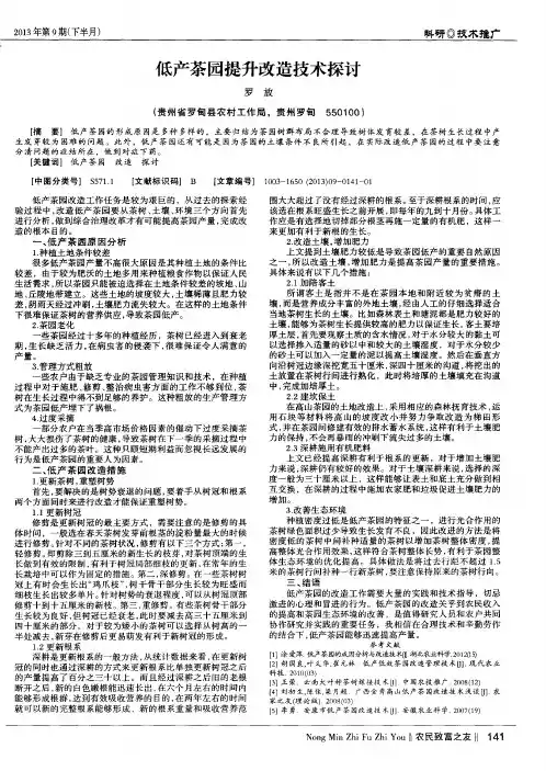 低产茶园提升改造技术探讨