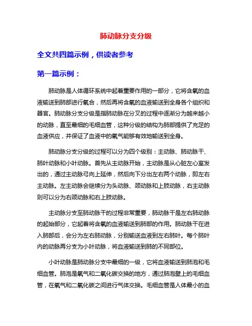 肺动脉分支分级