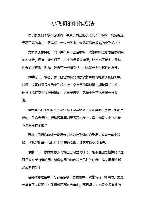小飞机的制作方法
