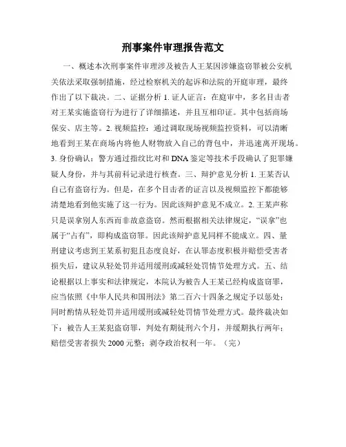 刑事案件审理报告范文