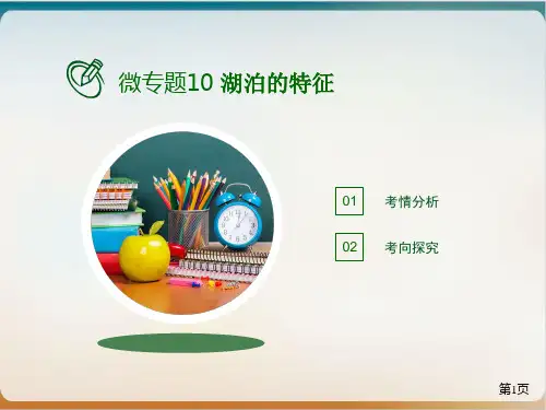 高考地理二轮复习大题突破微专题10湖泊的特征PPT课件(25张ppt)