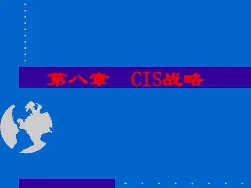 第八讲  CIS战略