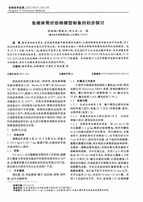 兔椎体骨折动物模型制备的初步探讨