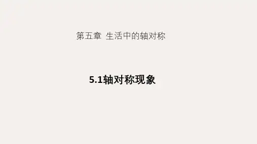 北师大版数学七年级下册5.1《轴对称现象》 课件(共25ppt )