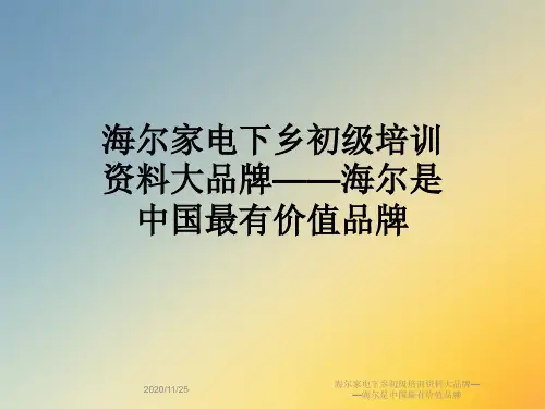 海尔家电下乡初级培训资料大品牌——海尔是中国最有价值品牌
