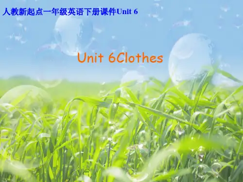 英语一下unit 6《clothes》ppt课件