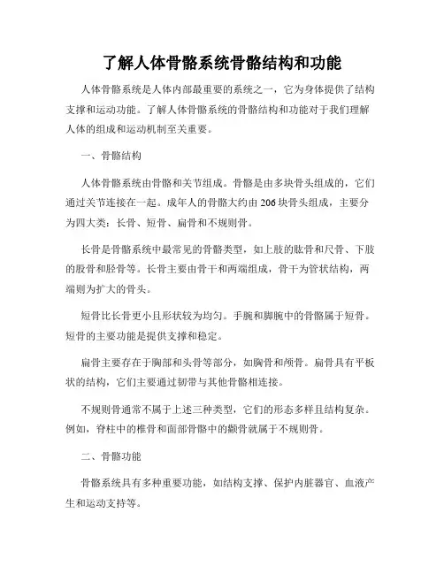 了解人体骨骼系统骨骼结构和功能