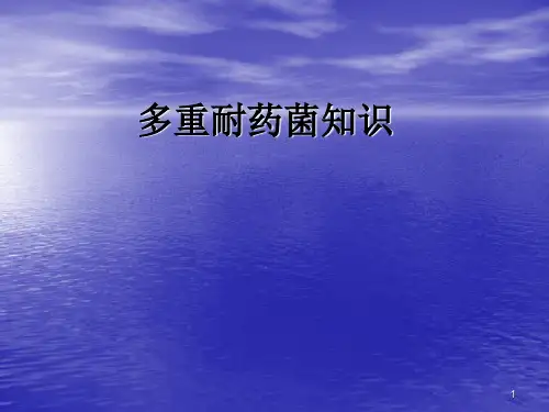 多重耐药菌知识ppt课件