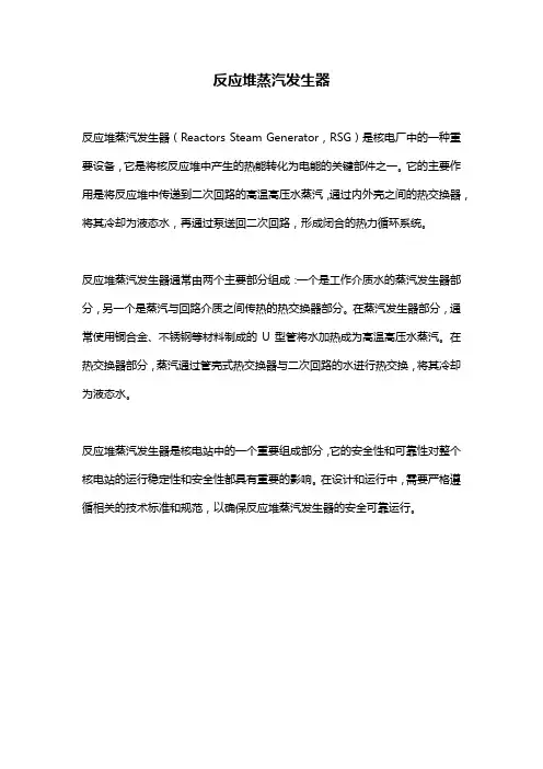 反应堆蒸汽发生器 