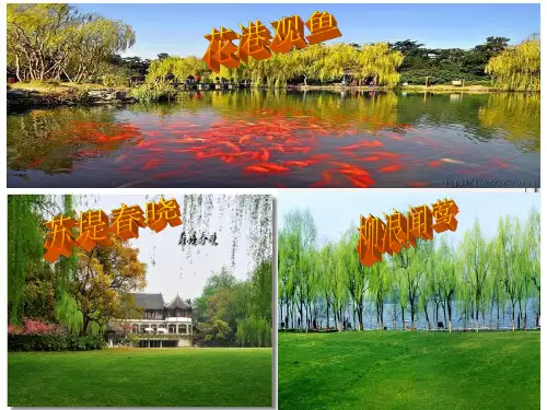 人教部编版语文八上《唐诗五首》之《钱塘湖春行》PPT课件全
