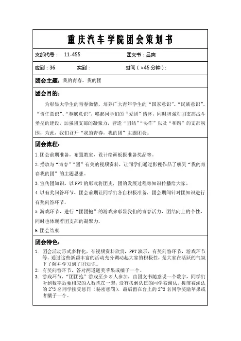 我的青春,我的团