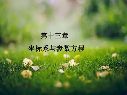 高考数学(理)一轮复习课件：坐标系与参数方程-2参数方程