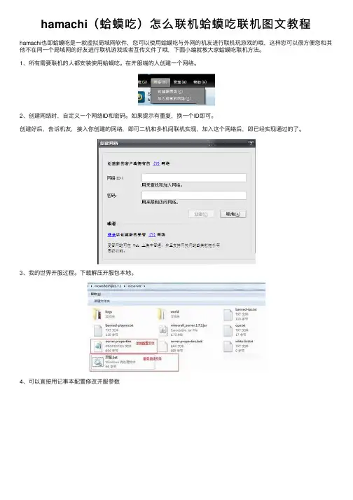 hamachi（蛤蟆吃）怎么联机蛤蟆吃联机图文教程
