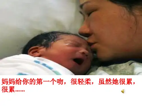 一年级口语交际《我爱我家》幻灯片