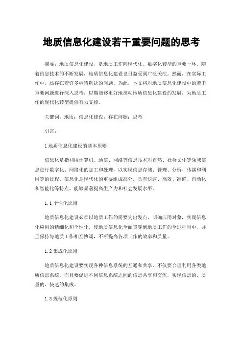 地质信息化建设若干重要问题的思考