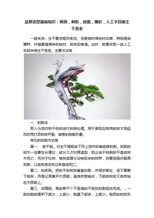 盆景造型基础知识：刻剥，刺伤，挖凿，撕折，人工手段使主干苍老