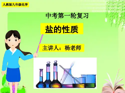 最新中考专项复习盐的性质与复分解反应 (共23张PPT)教育课件