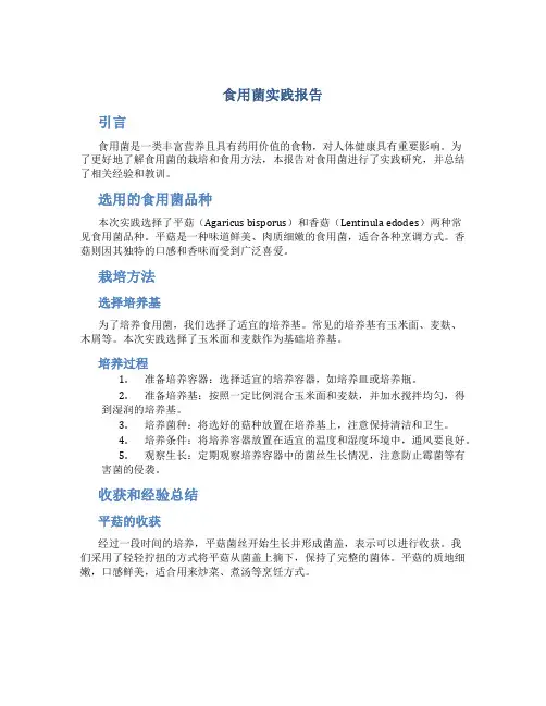 食用菌实践报告