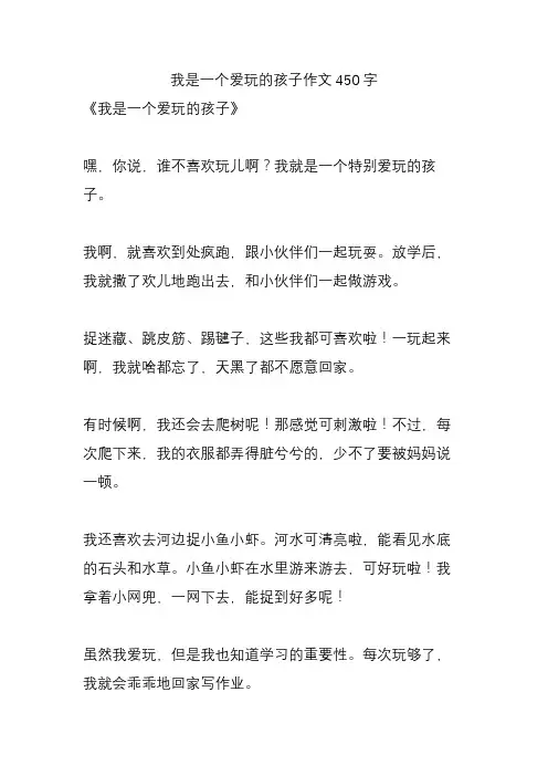 我是一个爱玩的孩子作文450字