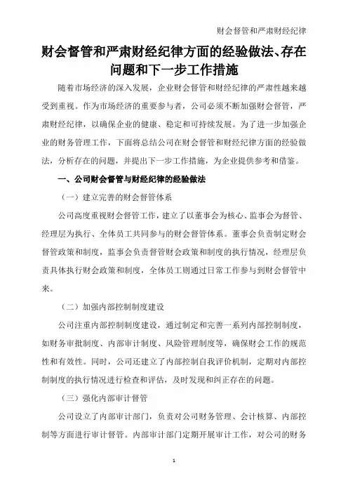 财会监督和严肃财经纪律方面的经验做法、存在问题和下一步工作措施。