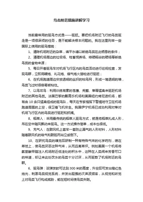 鸟击防范措施讲解学习