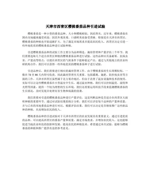 天津市西青区樱桃番茄品种引进试验