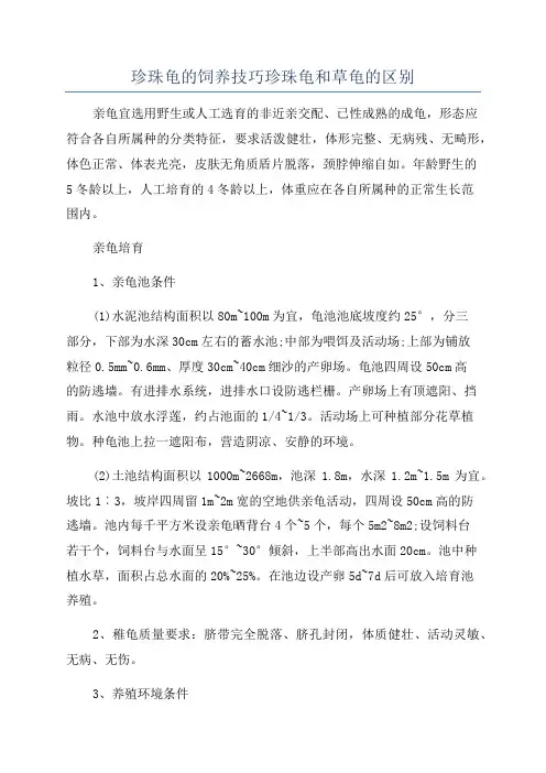珍珠龟的饲养技巧珍珠龟和草龟的区别