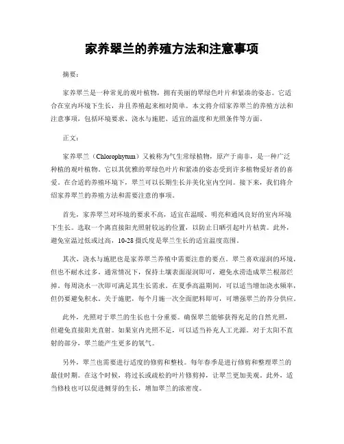 家养翠兰的养殖方法和注意事项