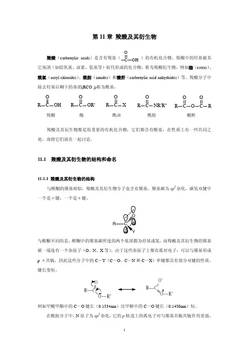 浙江大学有机化学课件讲义11