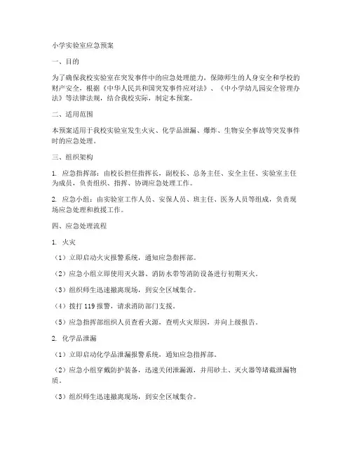 小学实验室应急预案完整