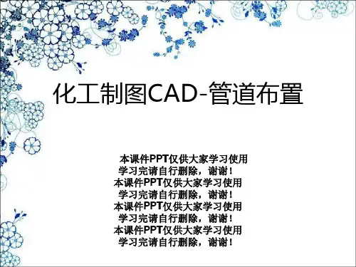 化工制图CAD-管道布置