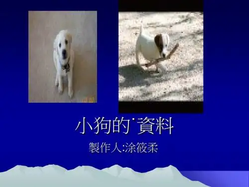 小狗的˙资料-PPT课件
