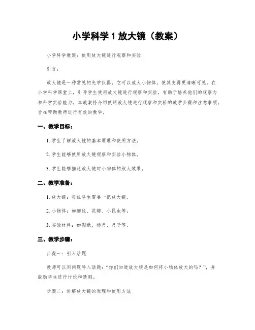 小学科学1放大镜(教案)