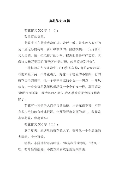荷花作文20篇