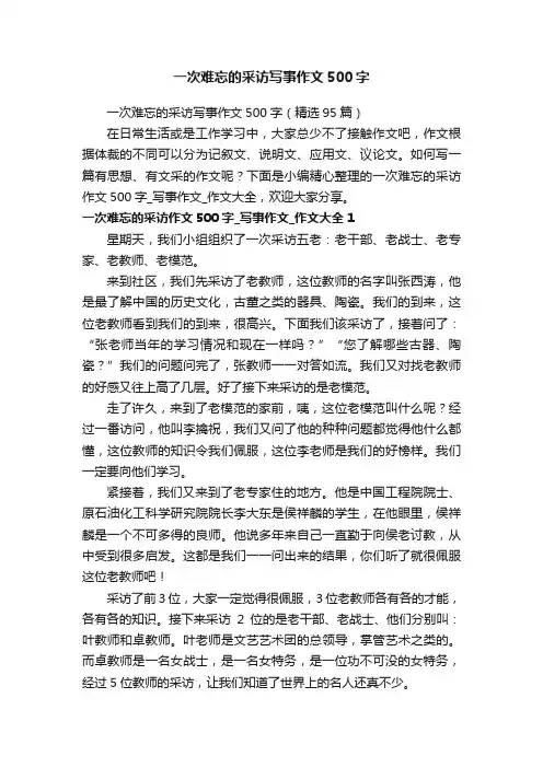 一次难忘的采访写事作文500字