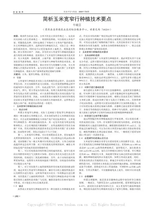 简析玉米宽窄行种植技术要点