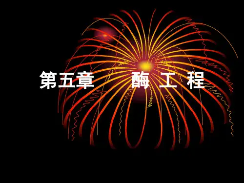 生物技术   酶工程