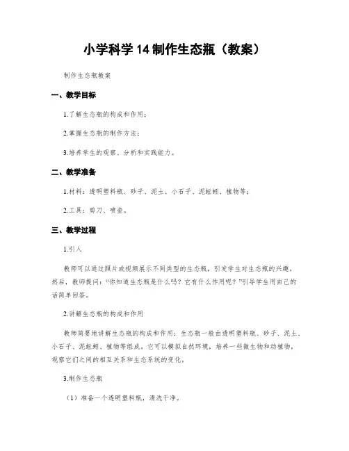 小学科学14制作生态瓶(教案)
