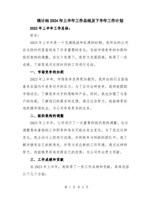 统计站2024年上半年工作总结及下半年工作计划