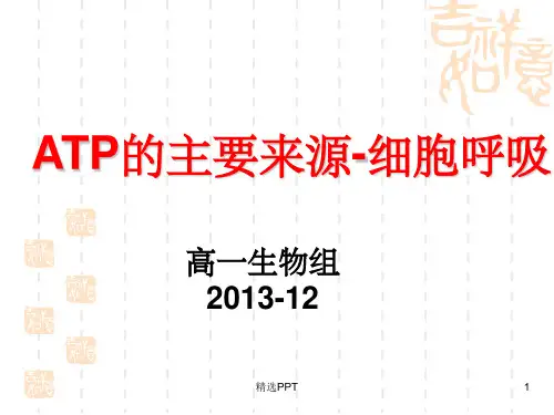 《呼吸影响因素》PPT课件