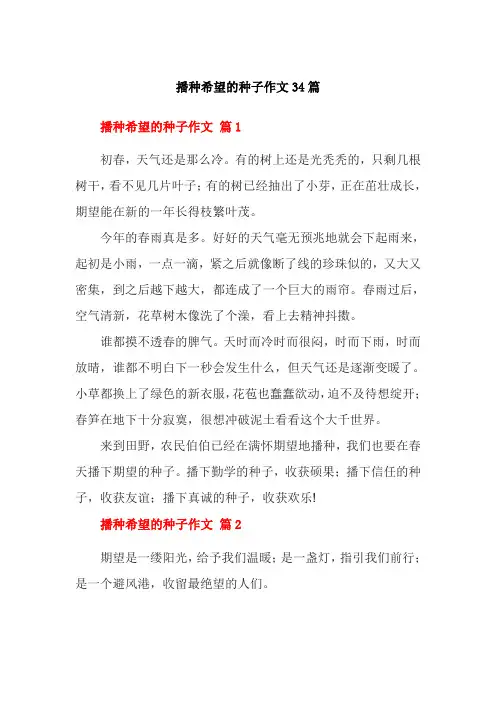 播种希望的种子作文34篇