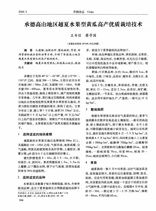 承德高山地区越夏水果型黄瓜高产优质栽培技术
