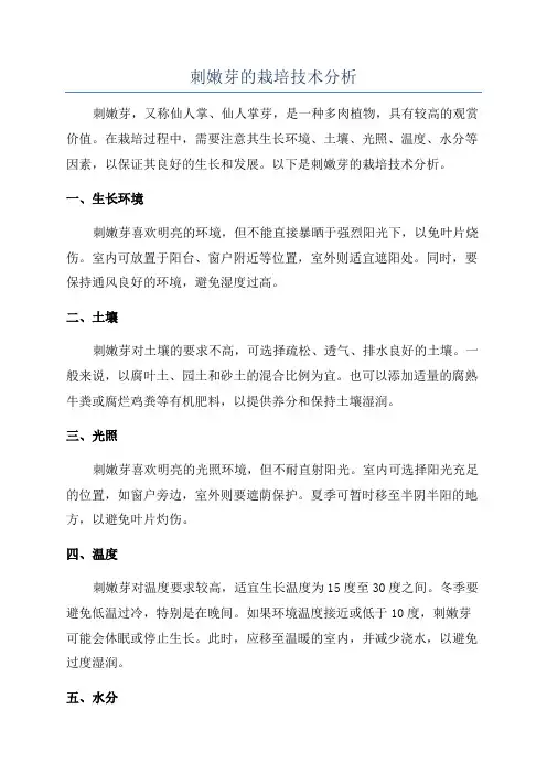 刺嫩芽的栽培技术分析