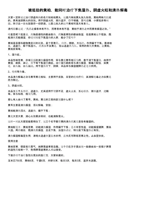 被低估的黄柏，能同时治疗下焦湿热、阴虚火旺和清热解毒