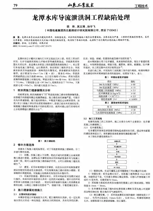 龙潭水库导流泄洪洞工程缺陷处理