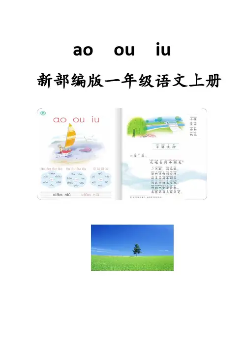 部编人教版一年级语文上册《ao ou iu 》教案