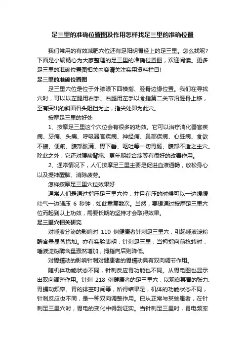 足三里的准确位置图及作用怎样找足三里的准确位置