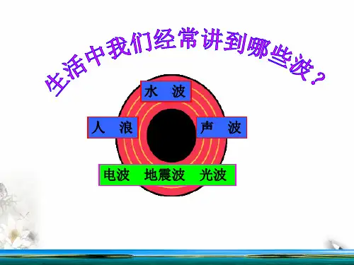 沪教(上海)物理高一第二学期(新)-D机械波的描述