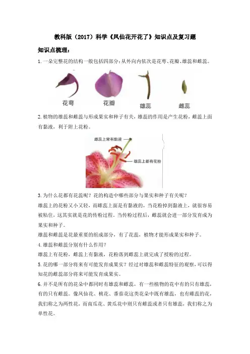 教科版(2017)科学《凤仙花开花了》知识点及复习题(含答案)